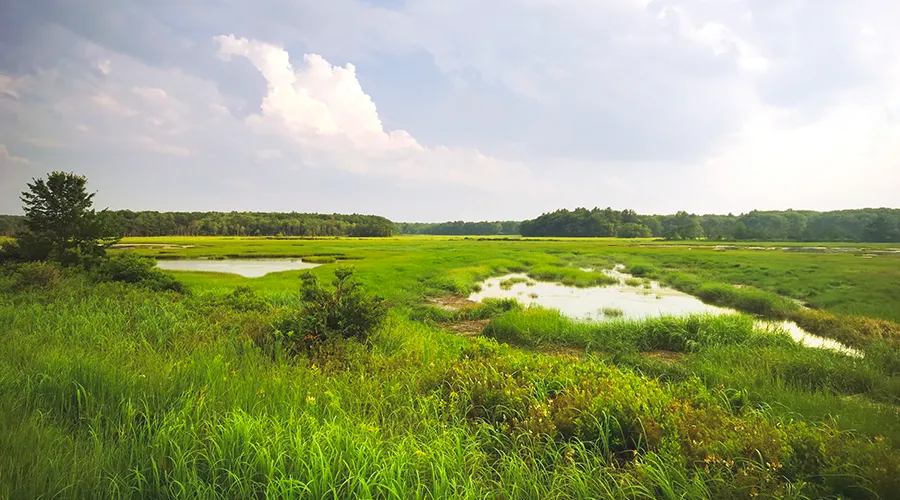 Longroad Energy land conservation